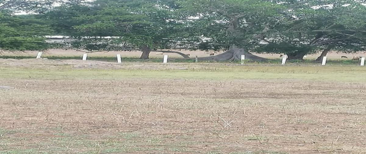 Foto de terreno comercial en venta en libram sur colonia mzllo. , bosques del sur, colima, colima, 25353376 No. 02