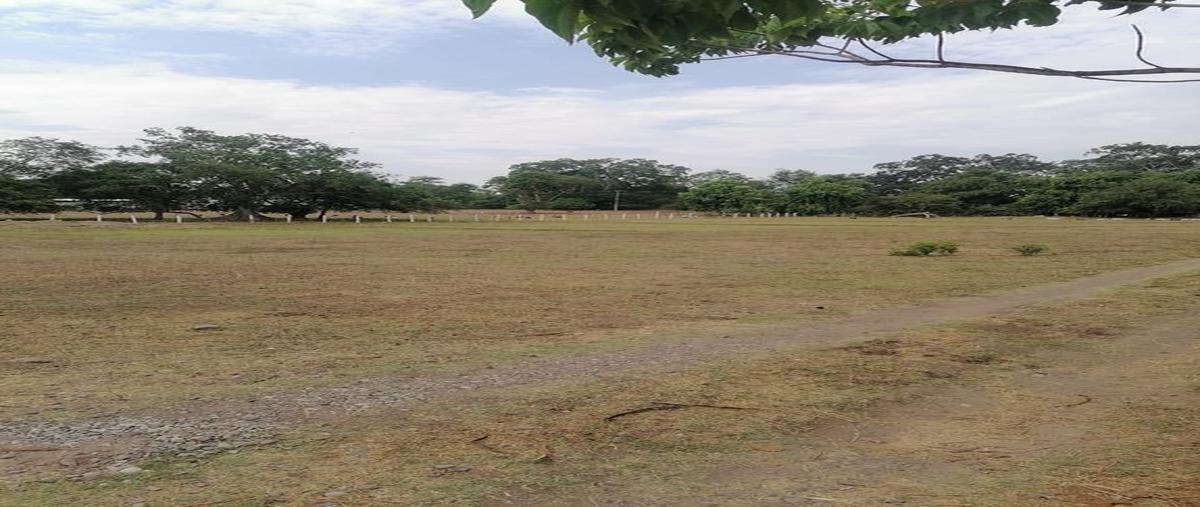 Foto de terreno comercial en venta en libram sur colonia mzllo. , bosques del sur, colima, colima, 25353376 No. 05