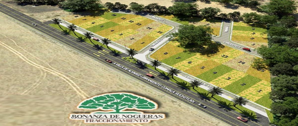Foto de terreno comercial en venta en libramiento a suchitlan , real nogueras, comala, colima, 26254193 No. 03