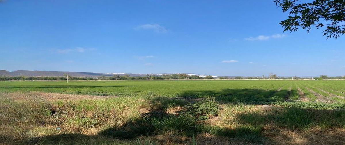 Foto de rancho en venta en libramiento amazcala , amazcala, el marqués, querétaro, 29486332 No. 03