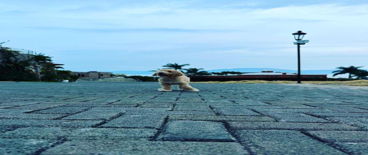 Foto de terreno habitacional en venta en libramiento chapala - ajijic , ajijic centro, chapala, jalisco, 27365797 No. 04