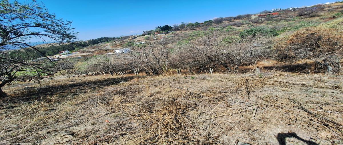 Foto de terreno habitacional en venta en libramiento la era , san andres huayapam, san andrés huayápam, oaxaca, 31145692 No. 05