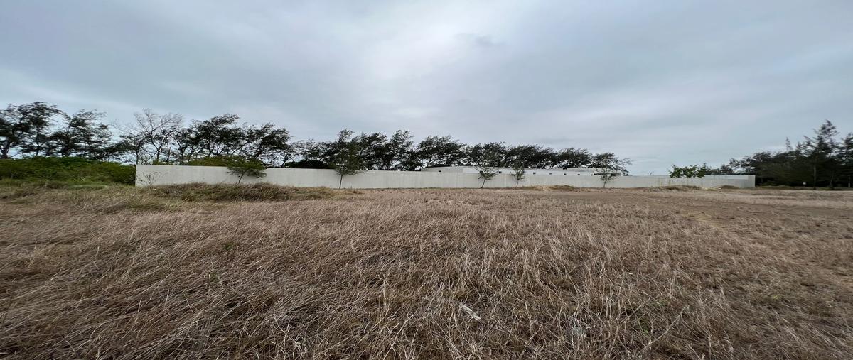 Foto de terreno comercial en venta en libramiento luis donaldo colosio , 17 de enero, ciudad madero, tamaulipas, 26491410 No. 03