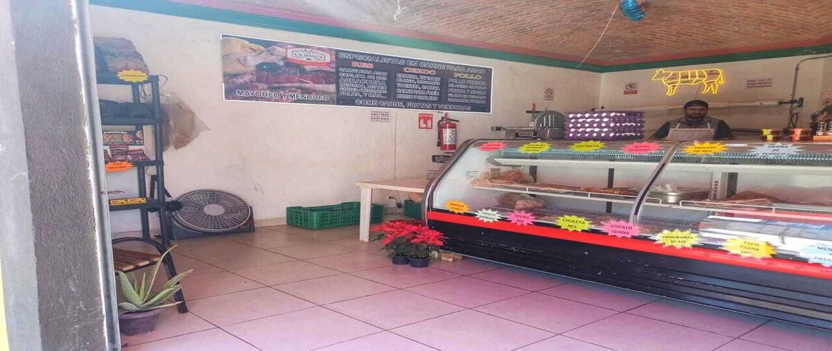 Foto de local en renta en libramiento manuel zavala , luis donaldo colosio, san miguel de allende, guanajuato, 29846962 No. 03