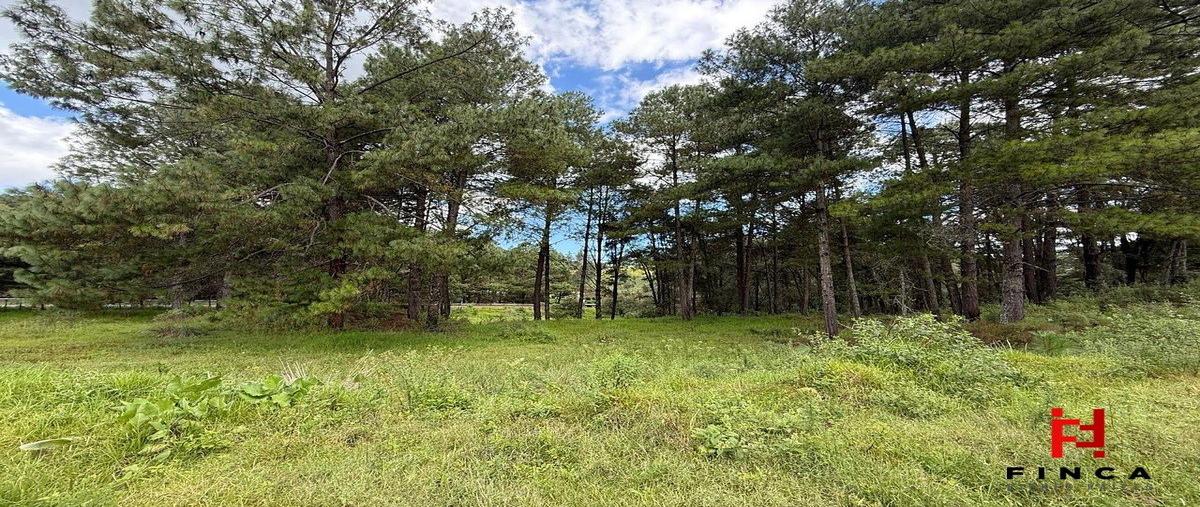 Foto de terreno habitacional en venta en libramiento nevado de toluca , los saúcos, valle de bravo, méxico, 0 No. 03