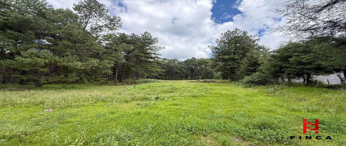 Foto de terreno habitacional en venta en libramiento nevado de toluca , los saúcos, valle de bravo, méxico, 0 No. 04