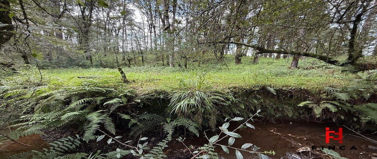 Foto de terreno habitacional en venta en libramiento nevado de toluca , los saúcos, valle de bravo, méxico, 0 No. 05