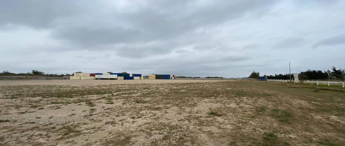 Foto de terreno industrial en renta en libramiento norte de altamira , ejido ricardo flores magón, altamira, tamaulipas, 26199276 No. 04