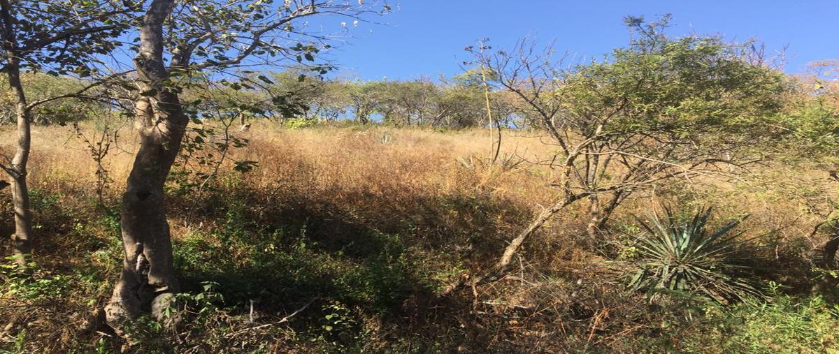 Foto de terreno habitacional en venta en libramiento norte , guadalupe victoria, oaxaca de juárez, oaxaca, 18599938 No. 05