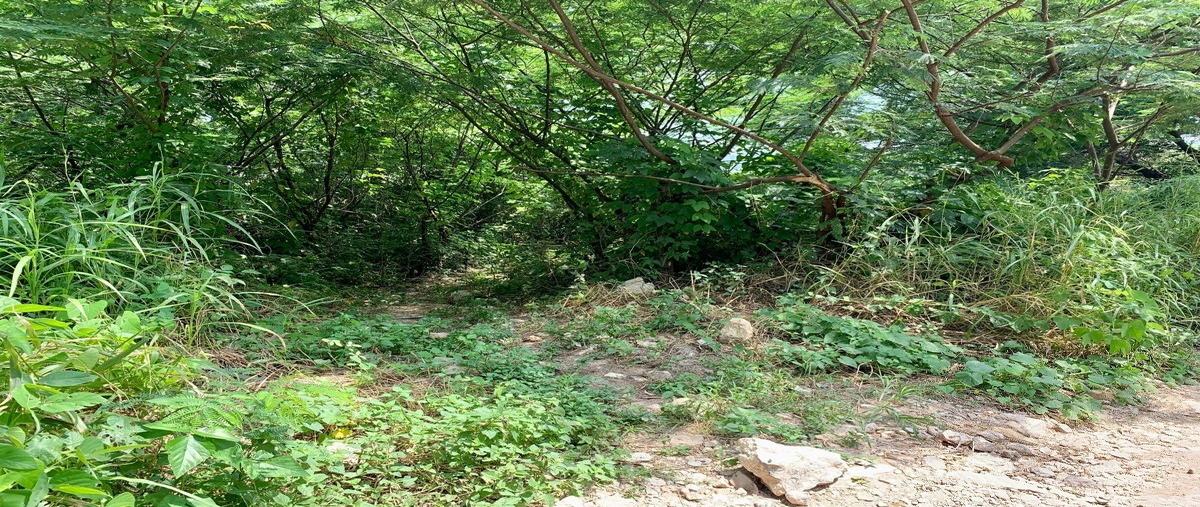 Foto de terreno habitacional en venta en libramiento norte poniente , calichal, tuxtla gutiérrez, chiapas, 25571130 No. 04