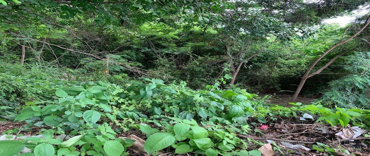 Foto de terreno habitacional en venta en libramiento norte poniente , calichal, tuxtla gutiérrez, chiapas, 25571130 No. 05