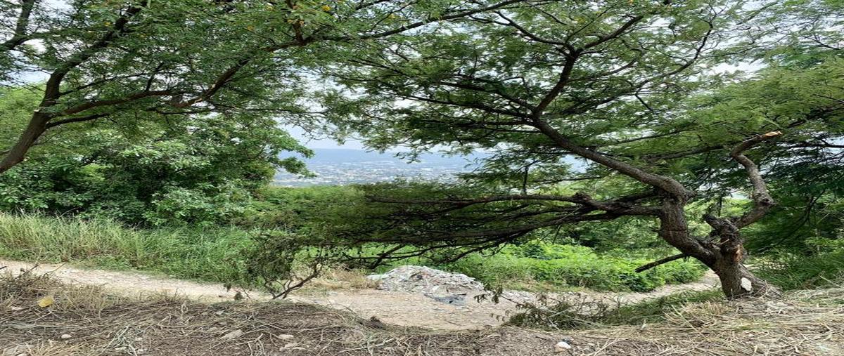 Foto de terreno habitacional en libramiento norte poniente , calichal, tuxtla gutiérrez, chiapas, 0 foto 01 Foto de terreno habitacional en venta en libramiento norte poniente , calichal, tuxtla gutiérrez, chiapas, 0 No. 01