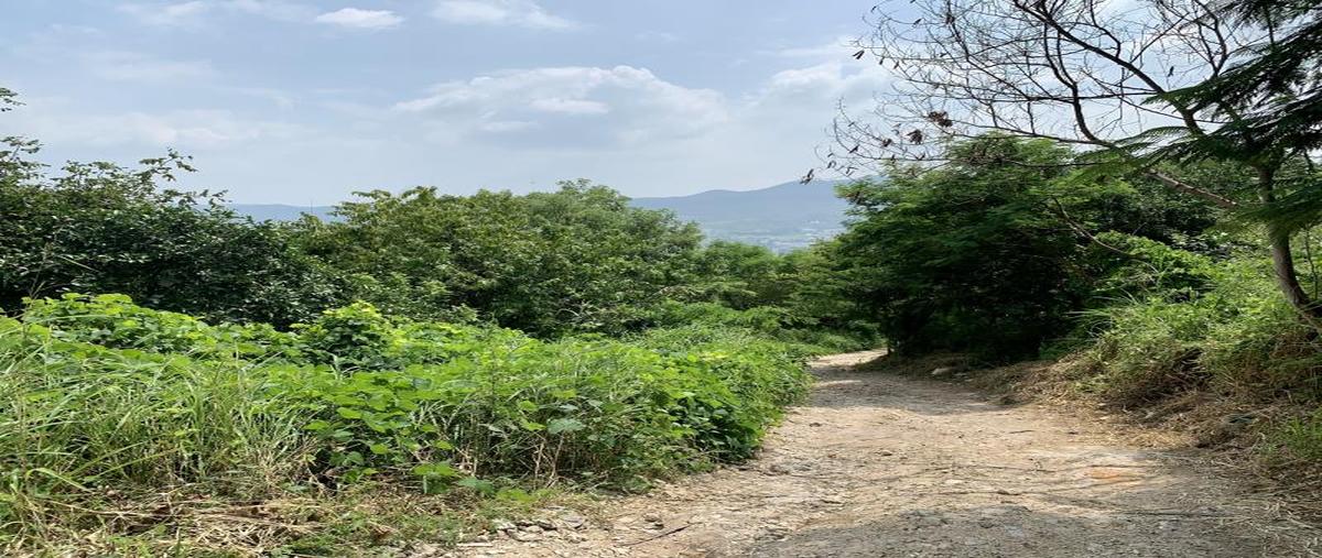 Foto de terreno habitacional en libramiento norte poniente , calichal, tuxtla gutiérrez, chiapas, 0 foto 04 Foto de terreno habitacional en venta en libramiento norte poniente , calichal, tuxtla gutiérrez, chiapas, 0 No. 04