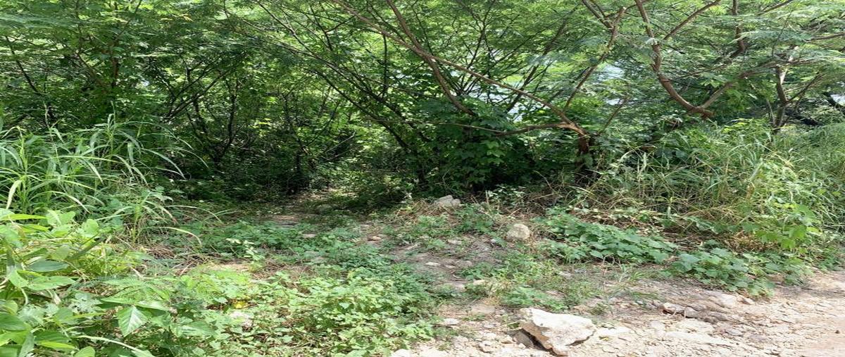 Foto de terreno habitacional en libramiento norte poniente , calichal, tuxtla gutiérrez, chiapas, 0 foto 05 Foto de terreno habitacional en venta en libramiento norte poniente , calichal, tuxtla gutiérrez, chiapas, 0 No. 05