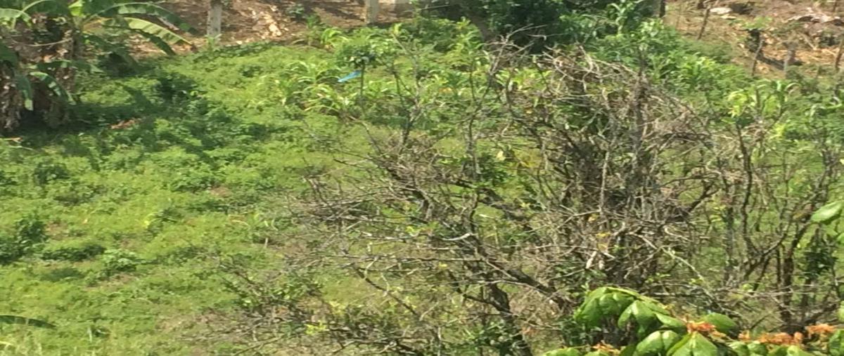 Foto de terreno comercial en venta en libramiento norte poniente , flamboyán, yajalón, chiapas, 3266564 No. 03