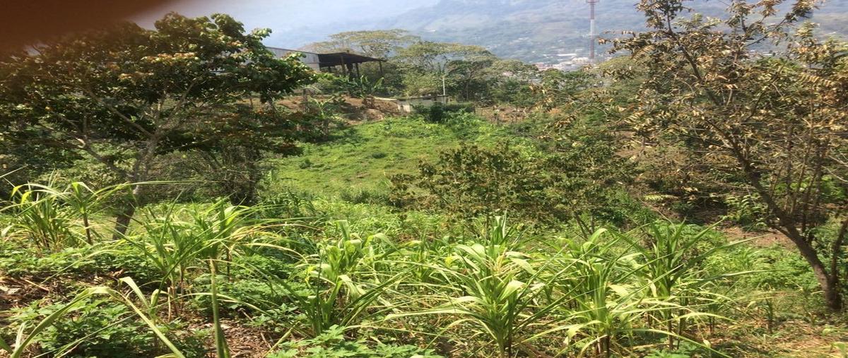 Foto de terreno habitacional en venta en libramiento norte ponientecarretera yajalón - petalcingo , flamboyán, yajalón, chiapas, 27582400 No. 04