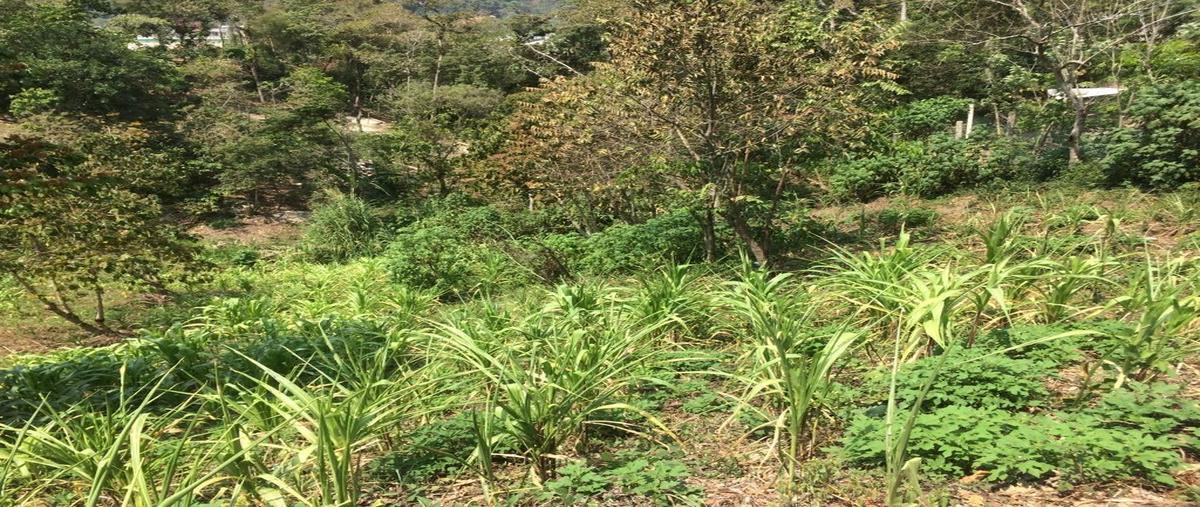 Foto de terreno habitacional en venta en libramiento norte ponientecarretera yajalón - petalcingo , flamboyán, yajalón, chiapas, 27582400 No. 05