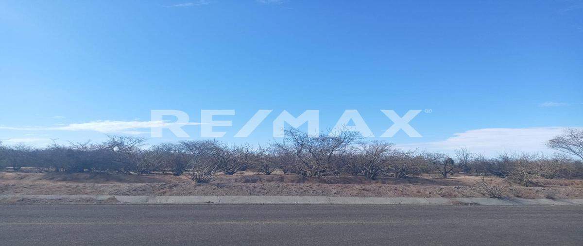 Foto de terreno comercial en venta en libramiento pichilingue , puerto de pichilingue, la paz, baja california sur, 0 No. 03