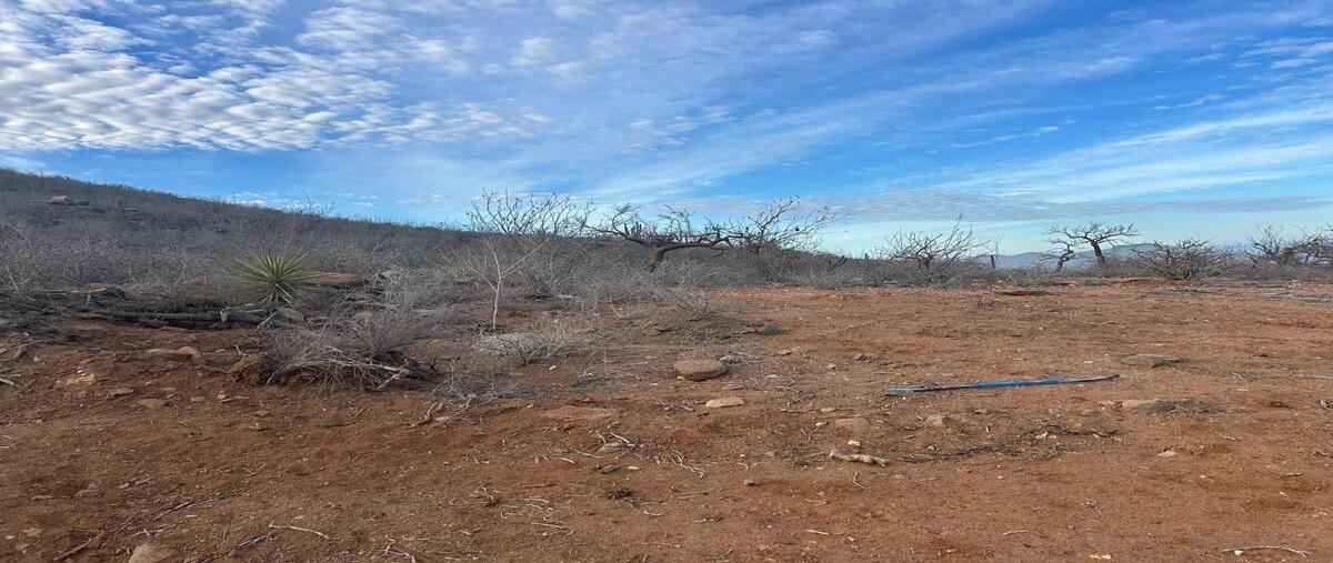 Foto de terreno habitacional en venta en libramiento , pueblo nuevo, la paz, baja california sur, 29918065 No. 03