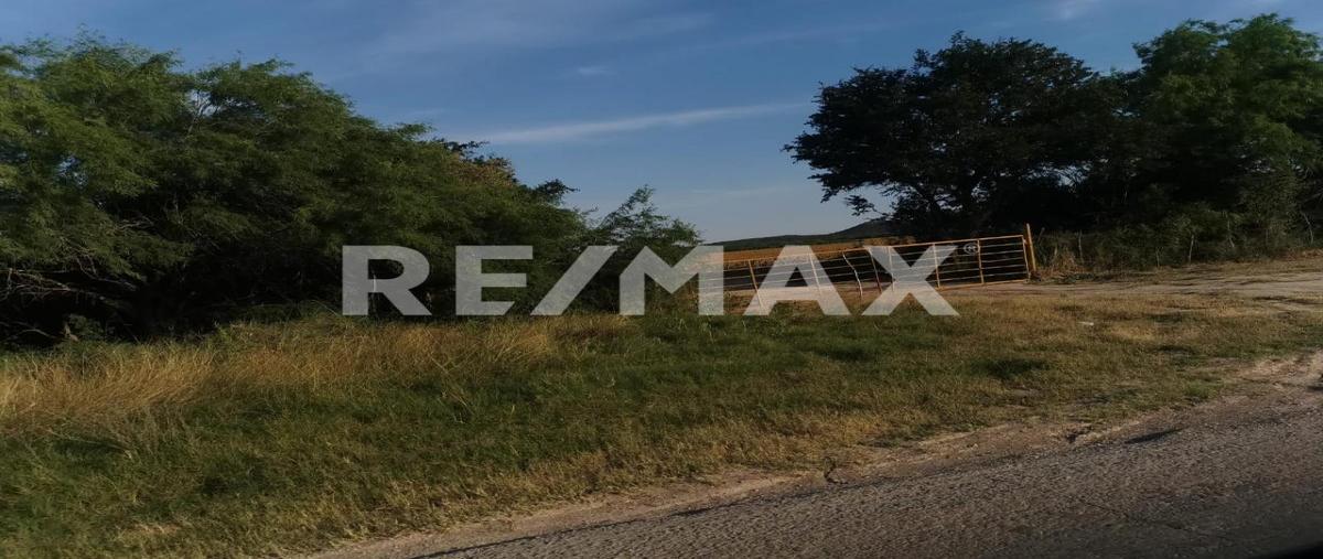 Foto de terreno habitacional en renta en libramiento san fernando , san fernando centro, san fernando, tamaulipas, 0 No. 04