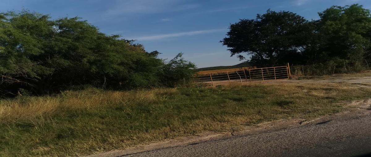 Foto de terreno habitacional en venta en libramiento san fernando , san fernando centro, san fernando, tamaulipas, 28174772 No. 04