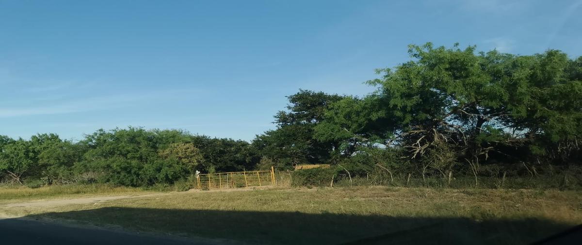 Foto de terreno habitacional en venta en libramiento san fernando , san fernando centro, san fernando, tamaulipas, 28174772 No. 05
