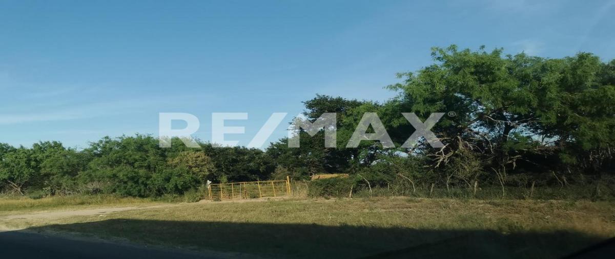 Foto de terreno habitacional en venta en libramiento san fernando , san fernando centro, san fernando, tamaulipas, 0 No. 05