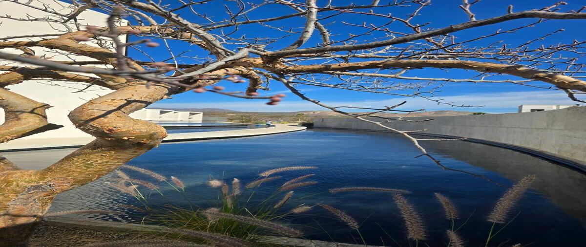 Foto de departamento en renta en libramiento san josé , club campestre san josé, los cabos, baja california sur, 0 No. 03