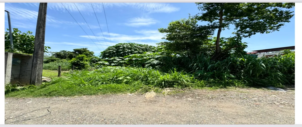 Foto de terreno comercial en libramiento sur oriente , 11 de septiembre, tapachula, chiapas, 0 foto 04 Foto de terreno comercial en venta en libramiento sur oriente , 11 de septiembre, tapachula, chiapas, 0 No. 04