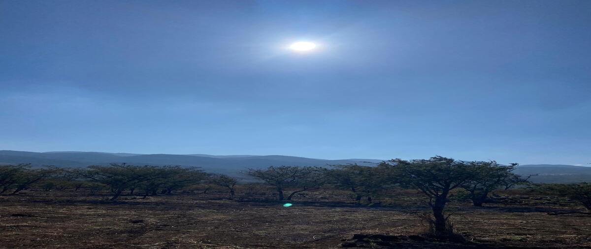 Foto de terreno habitacional en venta en libramiento sur , real del bosque, tuxtla gutiérrez, chiapas, 29289391 No. 04