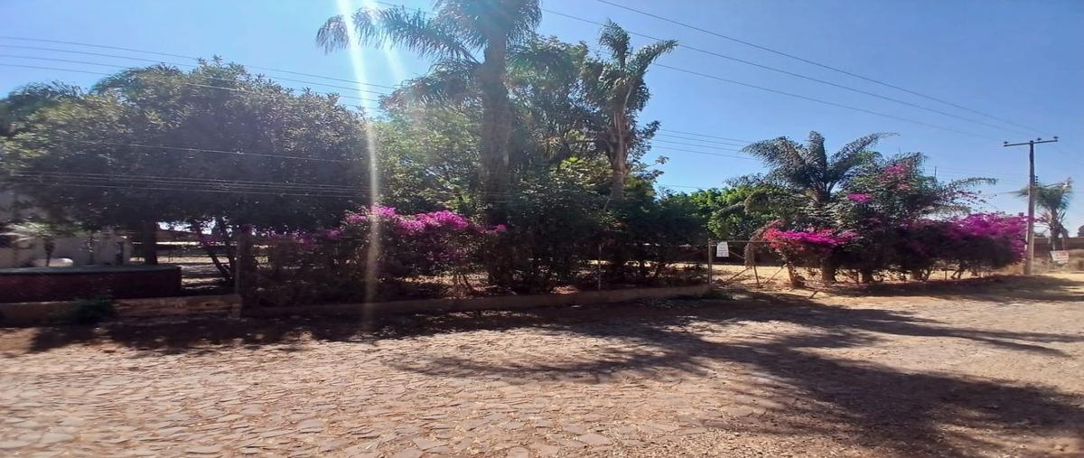 Foto de terreno habitacional en venta en  , libramiento sur, tepatitlán de morelos, jalisco, 0 No. 03