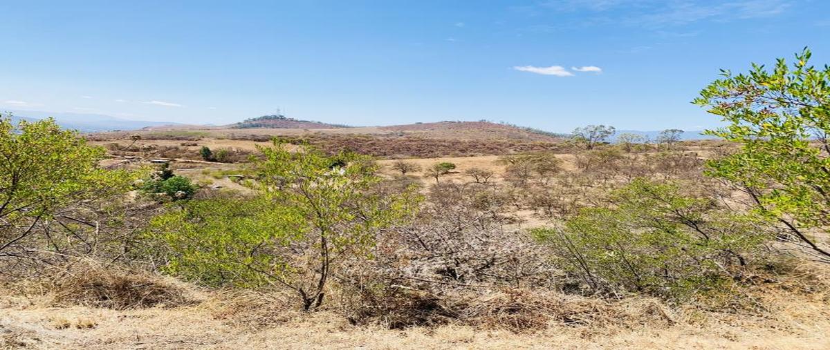 Foto de terreno habitacional en venta en libramiento viguera san felipe 111, ejido guadalupe victoria, oaxaca de juárez, oaxaca, 20727367 No. 05