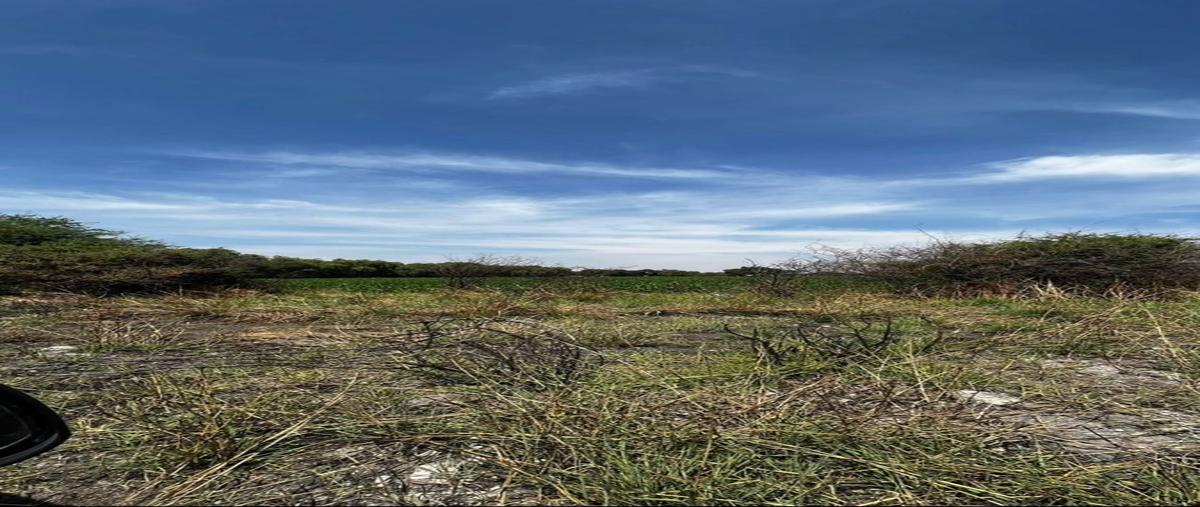 Foto de rancho en libre a celaya , el romeral, corregidora, querétaro, 26724941 foto 03 Foto de rancho en venta en libre a celaya , el romeral, corregidora, querétaro, 26724941 No. 03
