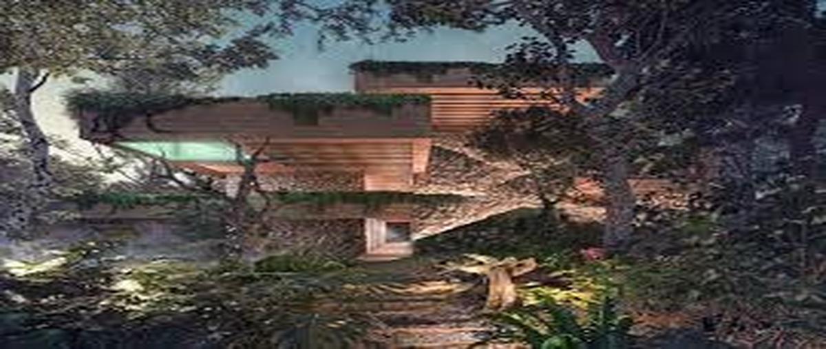 Foto de terreno habitacional en libre union whi310015, libre unión, yaxcabá, yucatán, 0 foto 02 Foto de terreno habitacional en venta en libre union whi310015, libre unión, yaxcabá, yucatán, 0 No. 02