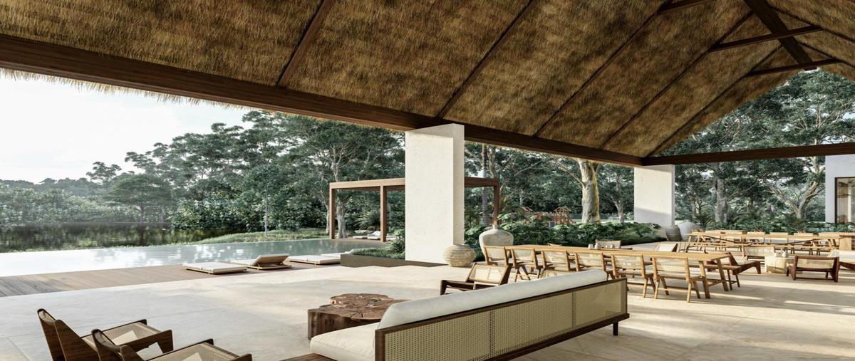 Foto de terreno habitacional en venta en  , libre unión, yaxcabá, yucatán, 0 No. 04