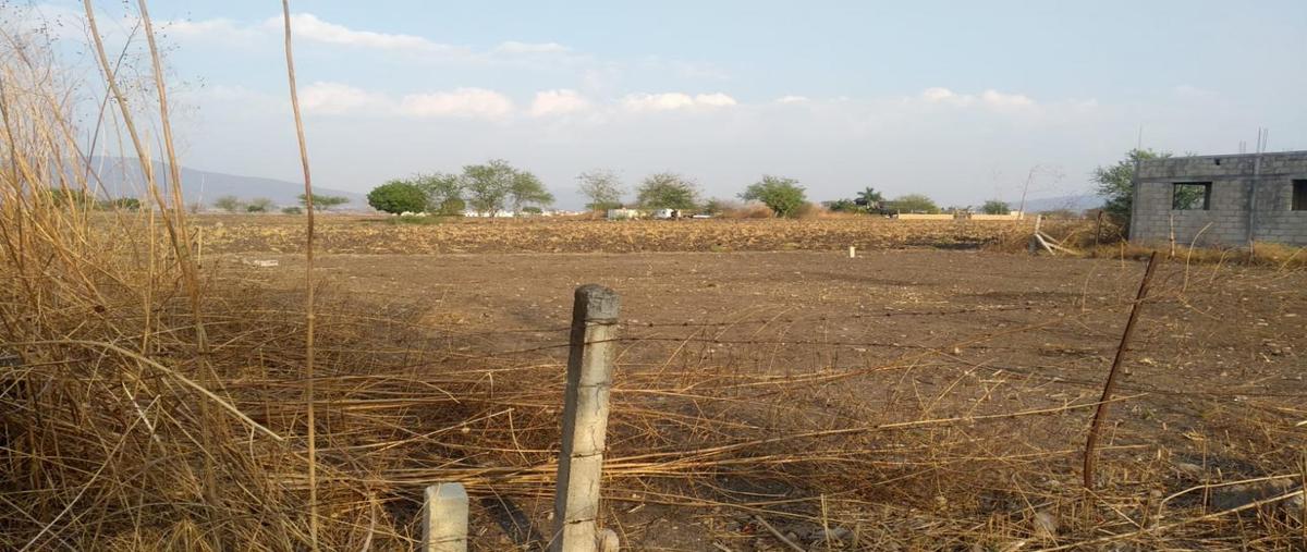 Foto de terreno habitacional en venta en librmiento 8, tequesquitengo, jojutla, morelos, 24978603 No. 03