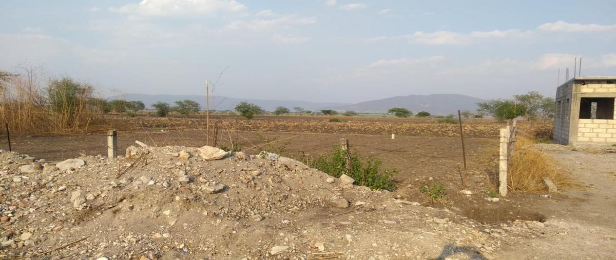 Foto de terreno habitacional en venta en librmiento 8, tequesquitengo, jojutla, morelos, 24978603 No. 04