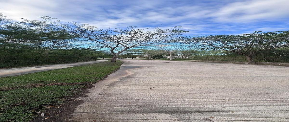 Foto de terreno habitacional en venta en licata , cabo norte, mérida, yucatán, 31058880 No. 05