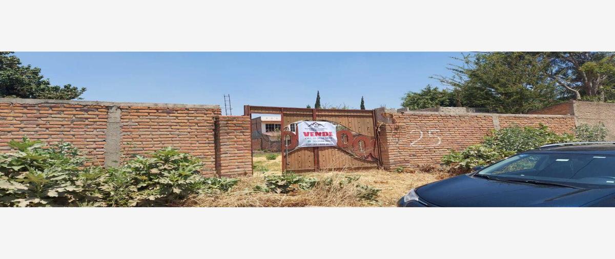 Foto de terreno comercial en venta en limón 25, el aguacate, zapotlanejo, jalisco, 26462852 No. 02