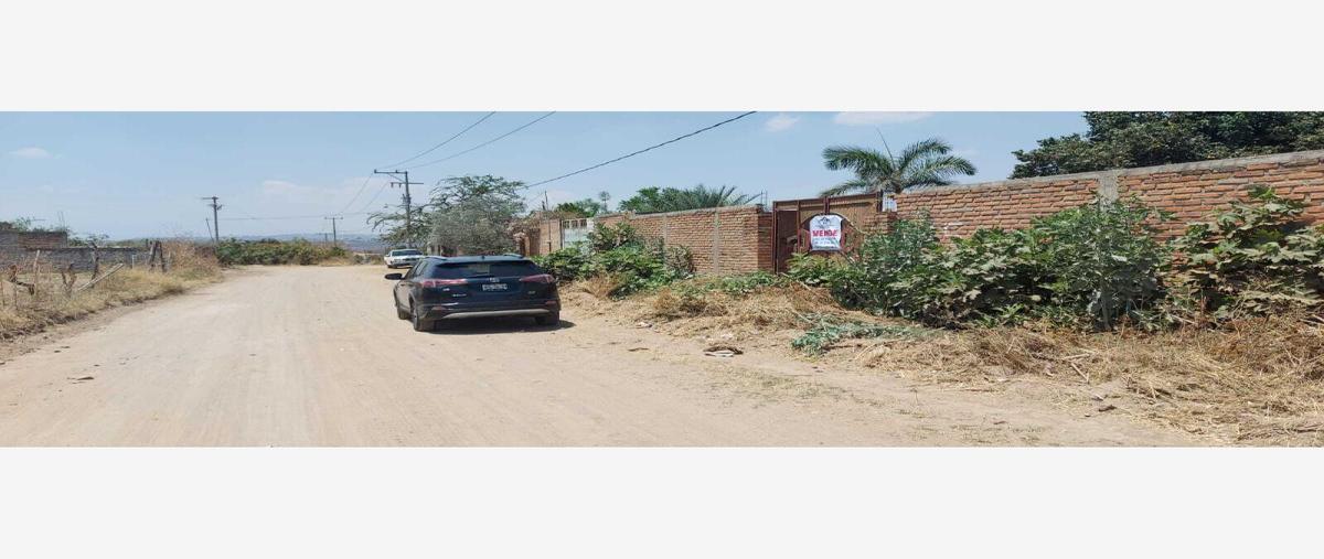 Foto de terreno comercial en venta en limón 25, el aguacate, zapotlanejo, jalisco, 26462852 No. 04