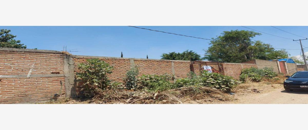 Foto de terreno comercial en venta en limón 25, el aguacate, zapotlanejo, jalisco, 26462852 No. 05