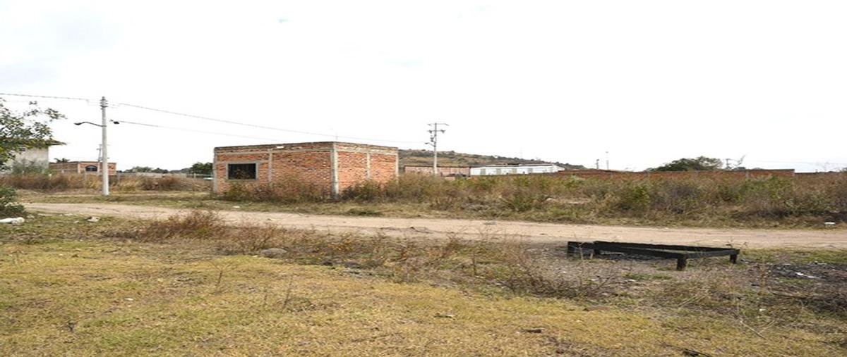 Foto de terreno habitacional en venta en limon , parque industrial el salto, el salto, jalisco, 0 No. 03