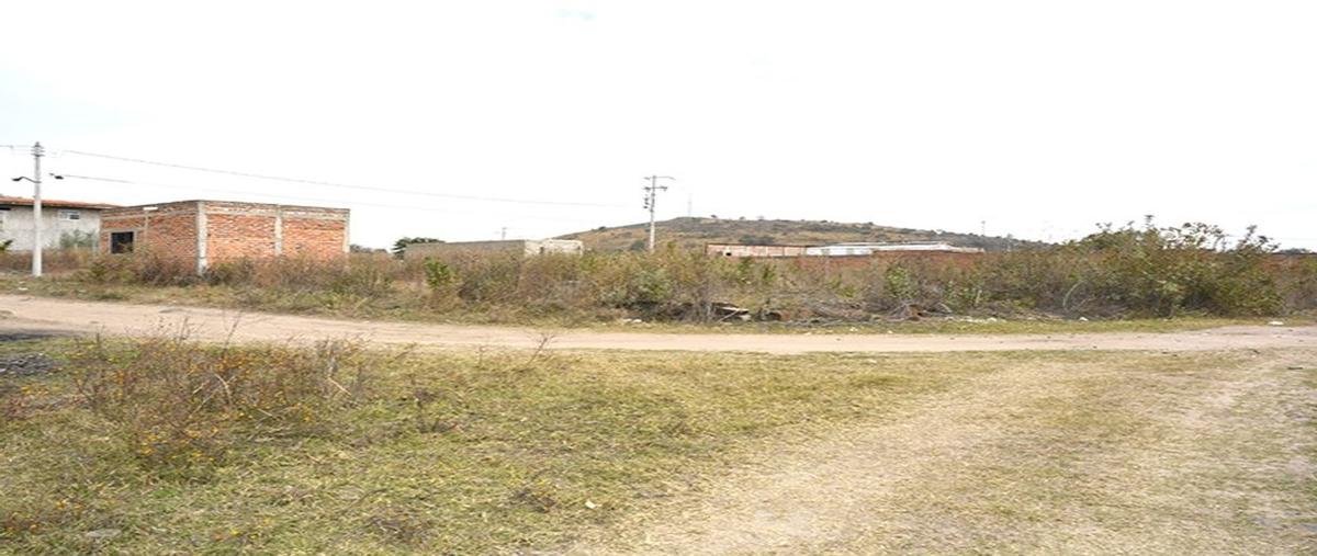 Foto de terreno habitacional en venta en limon , parque industrial el salto, el salto, jalisco, 0 No. 05