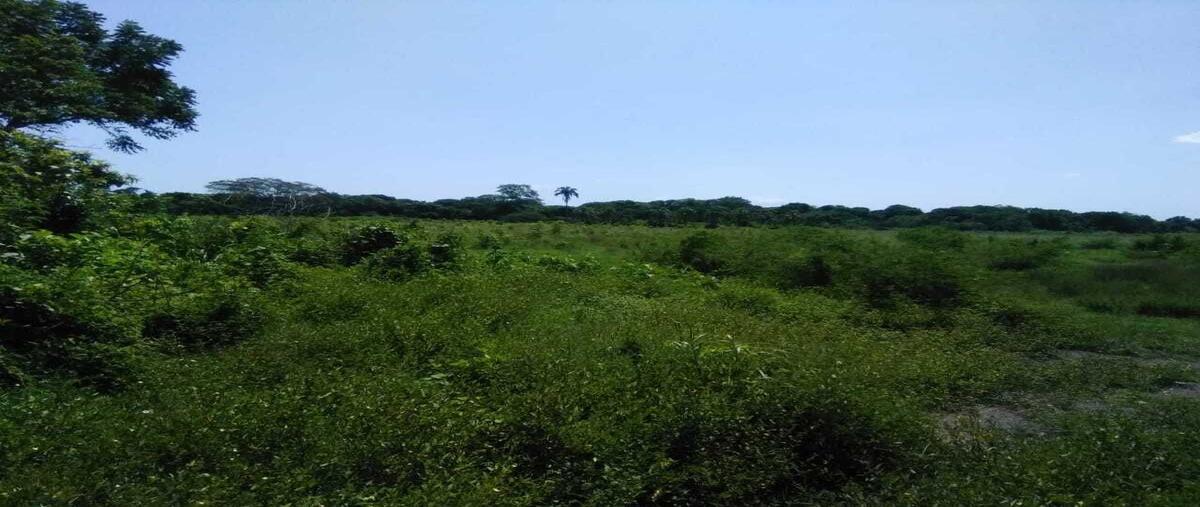 Foto de terreno habitacional en venta en limones , tenenexpan, manlio fabio altamirano, veracruz de ignacio de la llave, 30239413 No. 04