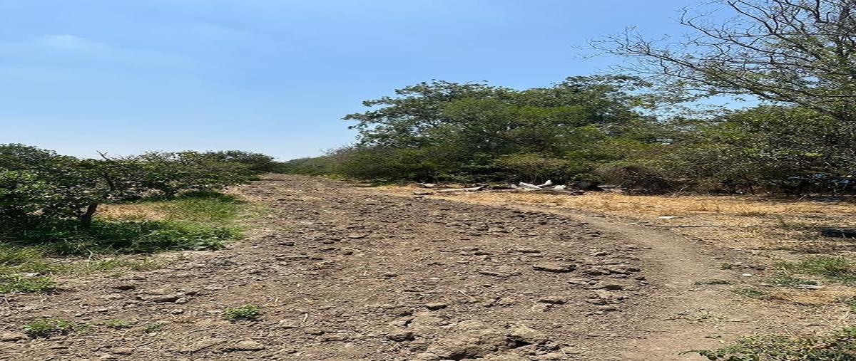 Foto de terreno habitacional en venta en  , linares centro, linares, nuevo león, 26886840 No. 04