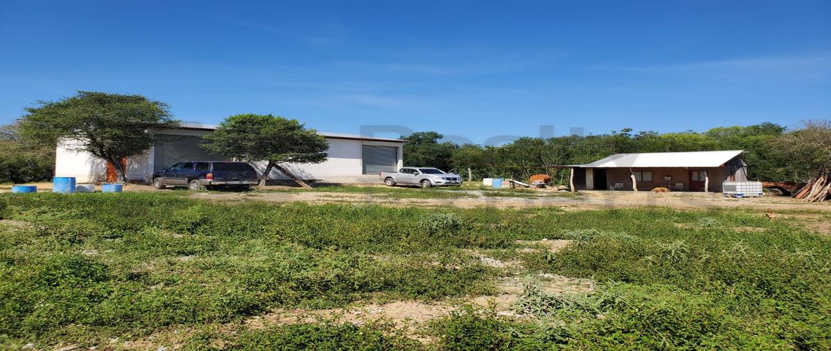 Foto de rancho en venta en  , linares centro, linares, nuevo león, 0 No. 04