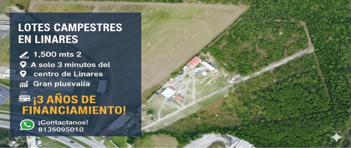 Foto de terreno habitacional en venta en  , linares centro, linares, nuevo león, 0 No. 03