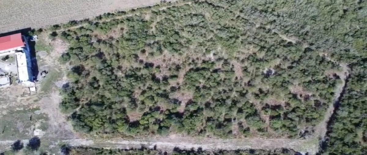 Foto de terreno habitacional en venta en  , linares centro, linares, nuevo león, 0 No. 04