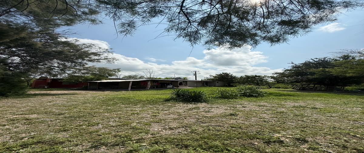 Foto de rancho en venta en  , linares centro, linares, nuevo león, 0 No. 03