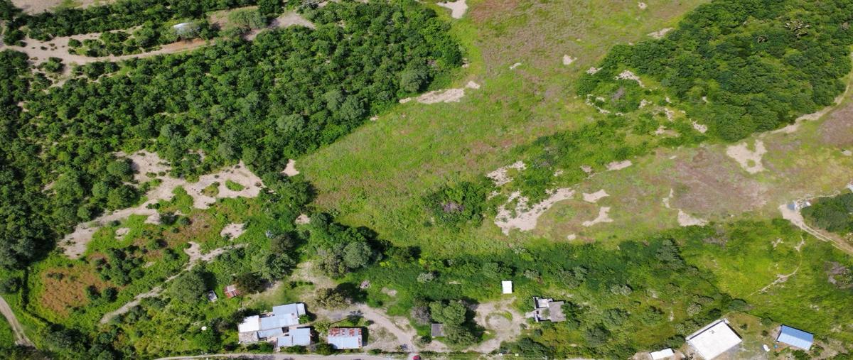 Foto de rancho en venta en  , linares centro, linares, nuevo león, 0 No. 05